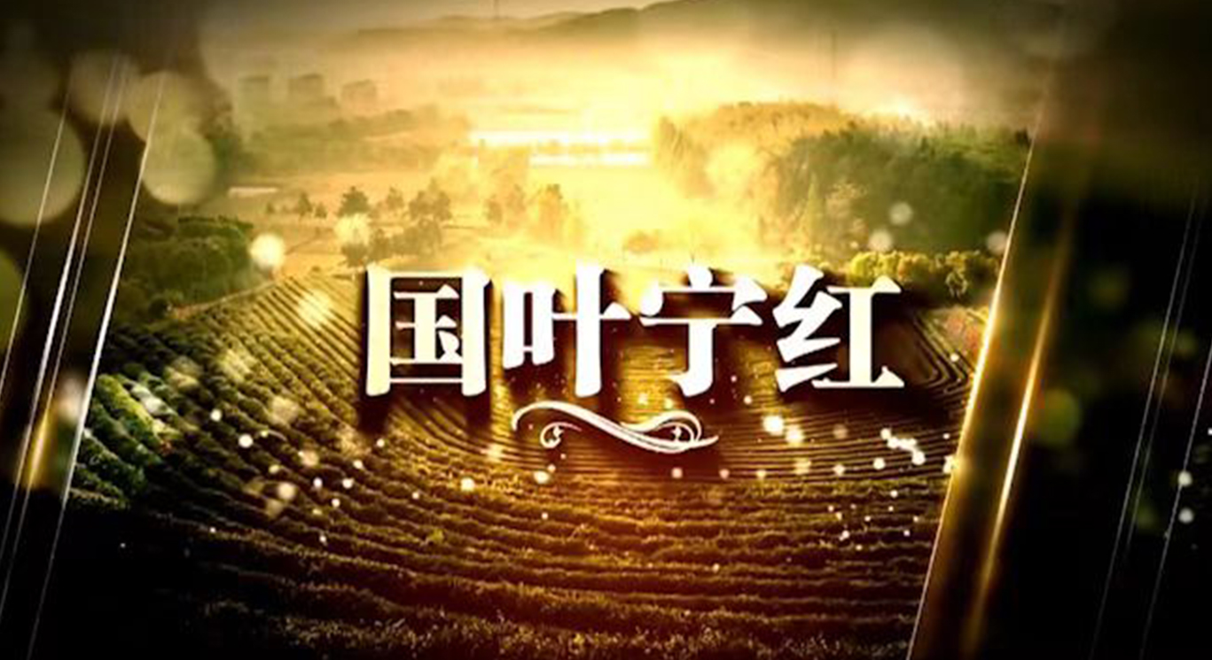 国叶宁红.jpg
